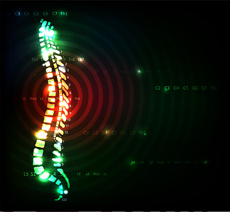 Spinal Reflexology. spinalreflex